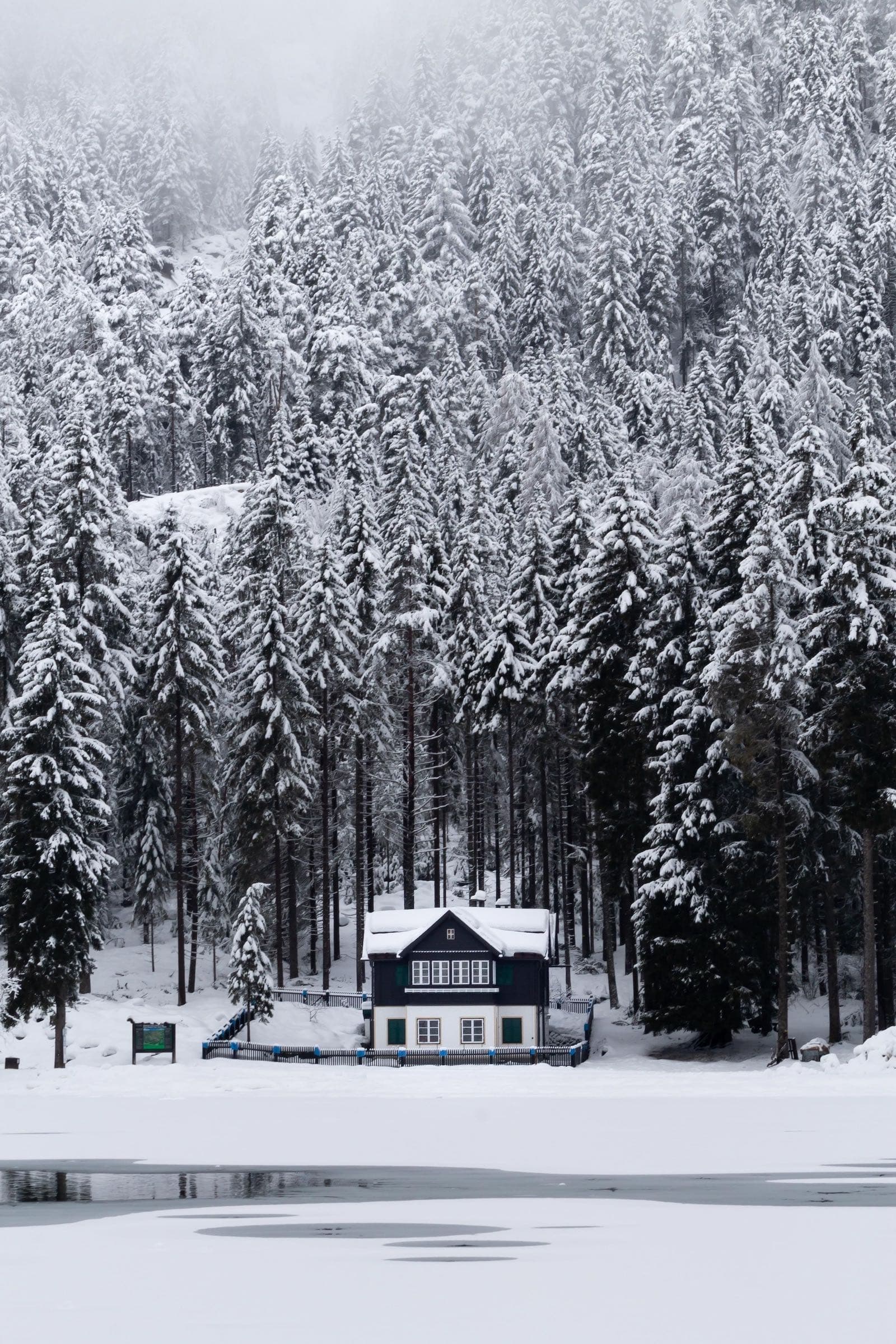 NEW YEAR IN THE WILD - Capodanno nelle Dolomiti 2