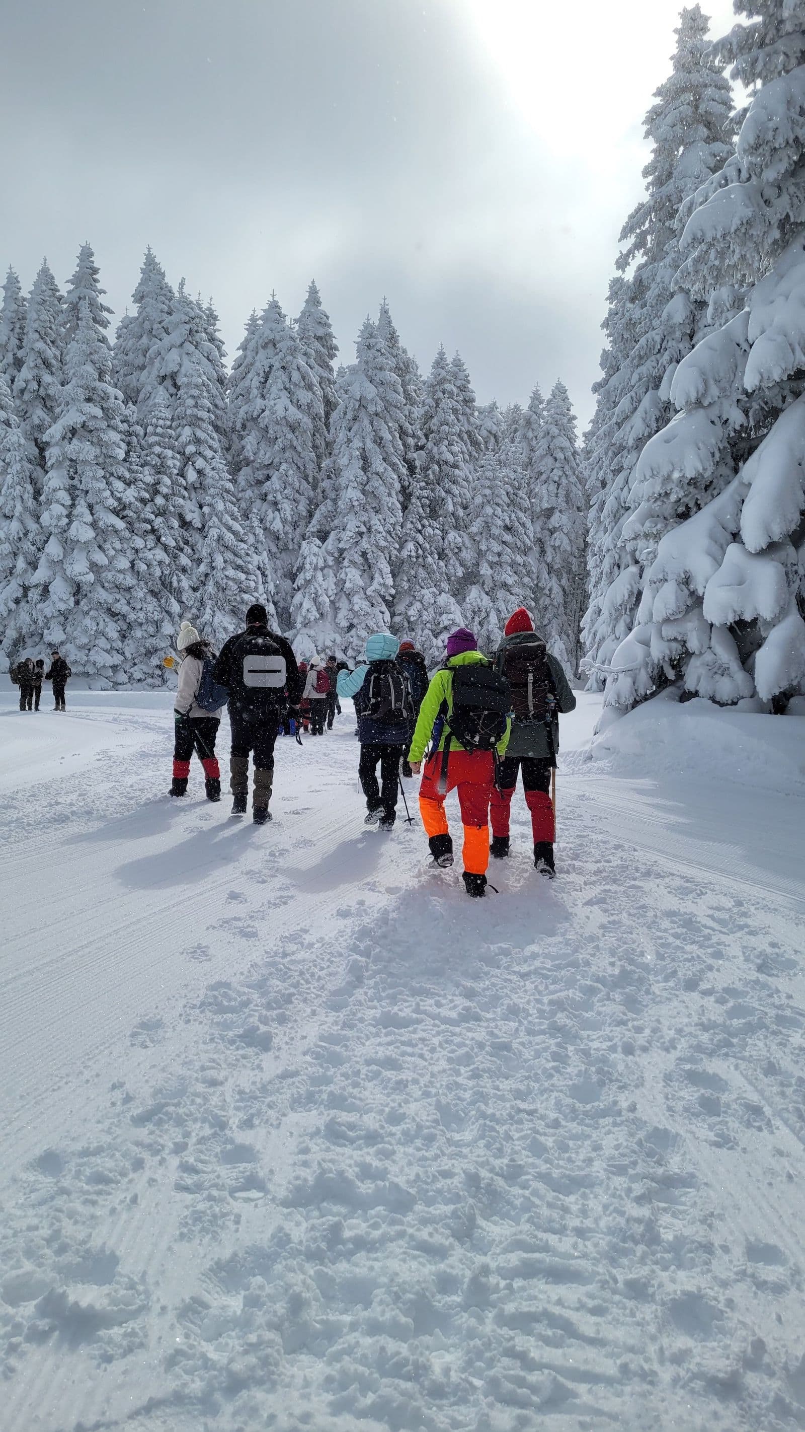 NEW YEAR IN THE WILD - Capodanno nelle Dolomiti 3