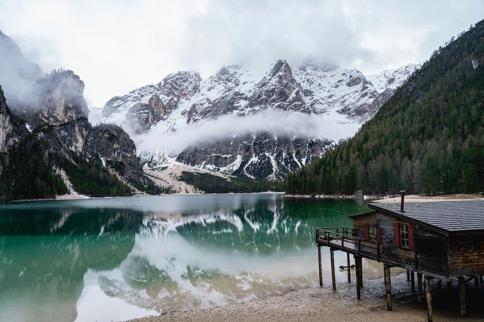 NEW YEAR IN THE WILD - Capodanno nelle Dolomiti 4