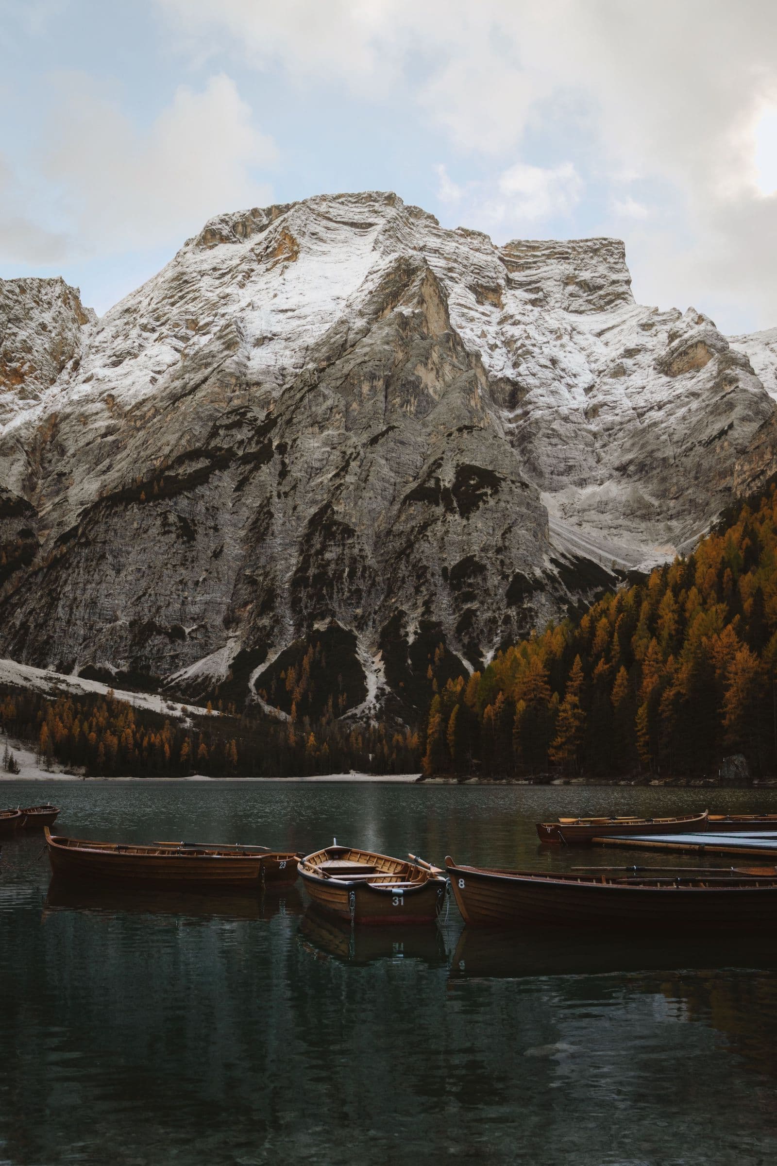 NEW YEAR IN THE WILD - Capodanno nelle Dolomiti 6